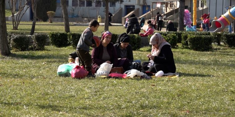 Kış Ortasında Bahar Havası