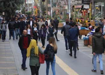 Amedlilerin AYM kararına yanıtı: Aramızda para toplar hallederiz