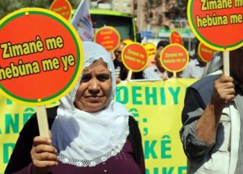 ‘Anadilde seçmeli ders değil, eğitim verilmeli’