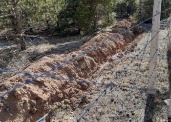 Beytepe Kampüsü’nde ormanlık alana kamera takılıyor