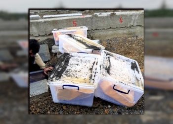 Avras’ın kardeşi: Hak savunucuları Kilyos için duyarlı olmalı