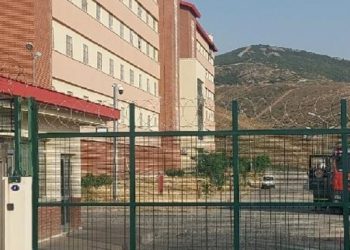 Kongolu çocukların yaşları büyütülerek sınır dışı kararı verildi
