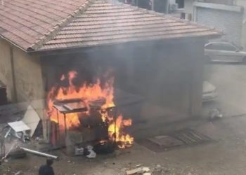 Köpek katiline ‘iyi hal’ indirimi