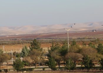 Prof. Dr. Öztürkmen: Maliyetler düşmeden tarım sözleşmesi anlamsız olur