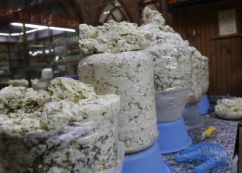 Otlu peynire yüzde 100 zam