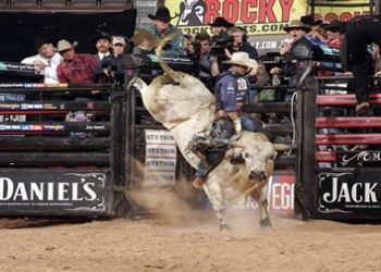 Acemi rodeocu yeni yıl kutlamaları sırasında öldü