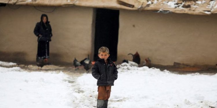 Afganistan'da dondurucu soğuk: 124 kişi ve 70 bin hayvan öldü