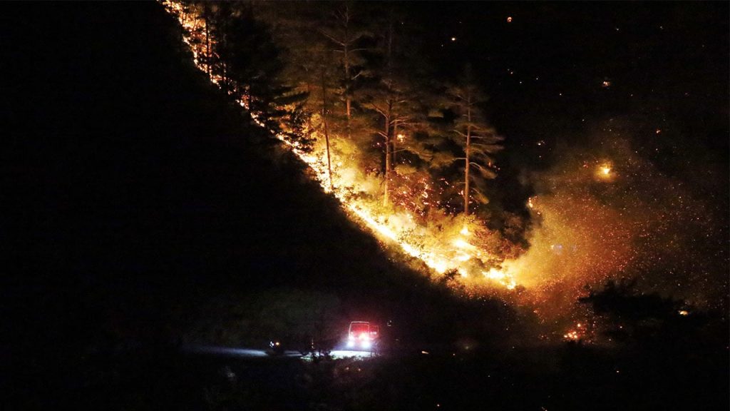 Alanya'da orman yangını