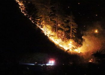 Alanya'da orman yangını