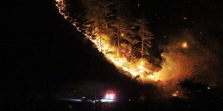 Alanya'da orman yangını