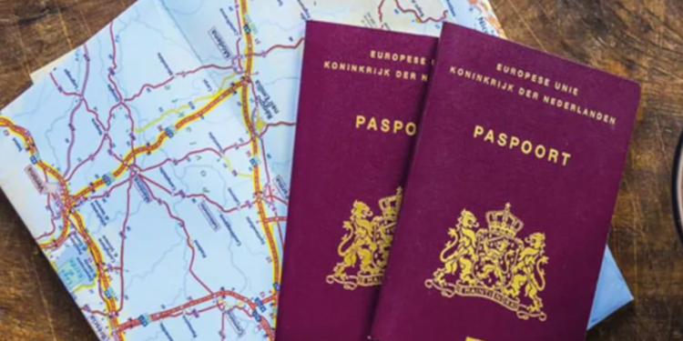 Almanya'da yeni tasarı: 5 yıl yaşayan vatandaş olabilecek