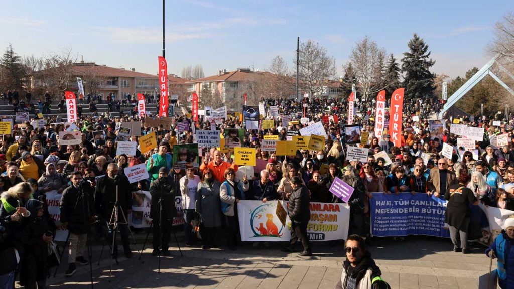 Ankara'da hayvan katliamlarına karşı miting