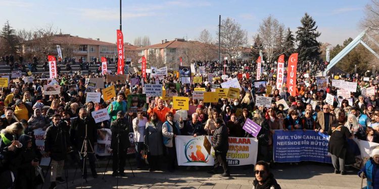Ankara'da hayvan katliamlarına karşı miting