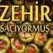 Bakanlık açıkladı! Zehir saçan yiyeceklerin listesi