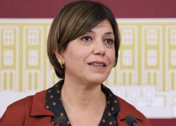 Beştaş: Bu seçimde Kürtler, Türkiye'nin geleceğini belirleyecek