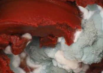 Bu görüntü artık dert değil.. Salçadaki küf sorunu ortadan kaldırıyor