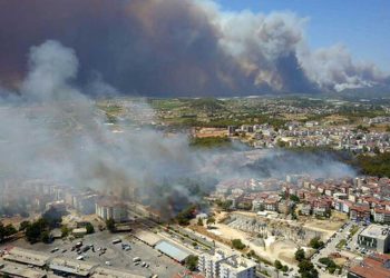 Büyük Manavgat yangınında 14 yaşındaki sanığa yedi yıl hapis