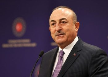 Çavuşoğlu, yeni İsrail Dışişleri Bakanı Eli Cohen'le görüştü