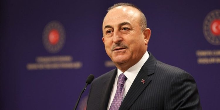 Çavuşoğlu, yeni İsrail Dışişleri Bakanı Eli Cohen'le görüştü