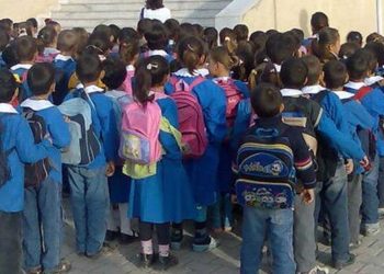 Danıştay'dan son 'Andımız' kararı: Okullarda okutulmayacak