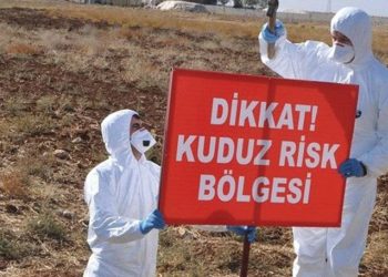 Dersim'de bir ilçe kuduz sebebiyle karantinaya alındı