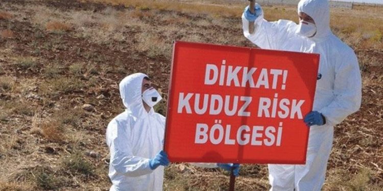 Dersim'de bir ilçe kuduz sebebiyle karantinaya alındı