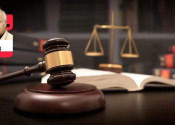 Despotizmin ceza hukukundaki araçları