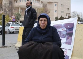 Emine Şenyaşar hakkında iki yeni dava açıldı