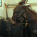 Eo’dan Balthazar’a…
