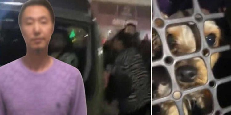 Esenyurt'ta köpeğe şiddet uygulayan kişiye tepki