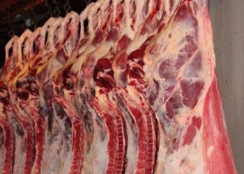 Et ve Süt Kurumu (ESK), kilo başına küçükbaş hayvan eti alımında 5-8 lira, büyükbaş hayvan eti alımında 13-26 lira arasında zam yaptı. Bu zamların ardından kurumun, et satış fiyatlarına da zam yapması bekleniyor.