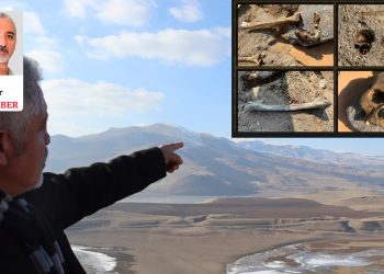 Geliyê Zîlan: Su yüzüne çıkan katliam izleri