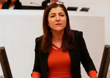 HDP'li Gülüm'den gazeteci Aygül'e yönelik soruşturmalarla ilgili önerge