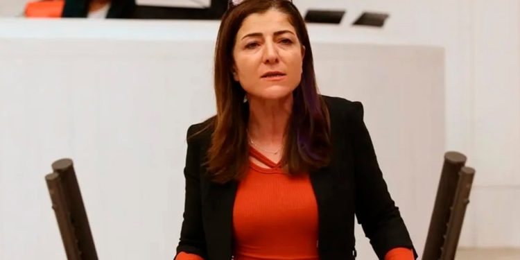 HDP'li Gülüm'den gazeteci Aygül'e yönelik soruşturmalarla ilgili önerge