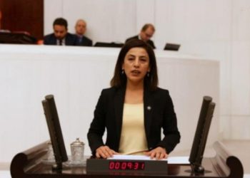 HDP'li İmir: Şırnak'ta yüzlerce sorun çözüm bekliyor