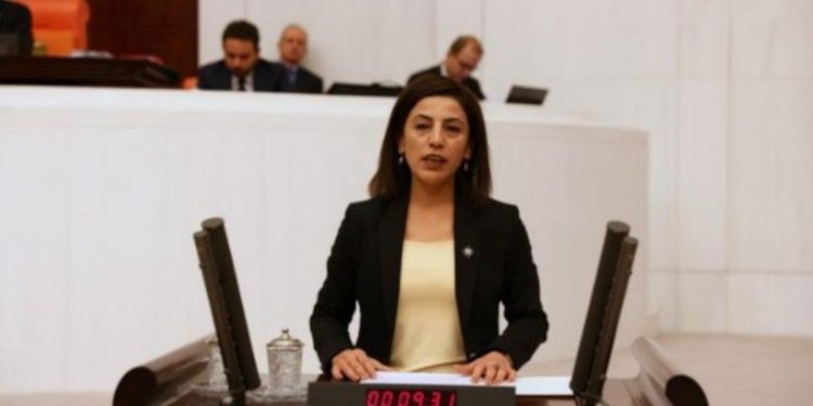 HDP'li İmir: Şırnak'ta yüzlerce sorun çözüm bekliyor