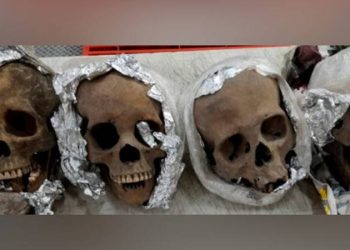 Havalimanında bir kutuda, folyoya sarılı 4 insan kafatası bulundu!