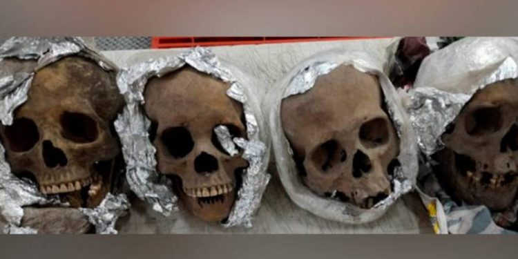 Havalimanında bir kutuda, folyoya sarılı 4 insan kafatası bulundu!