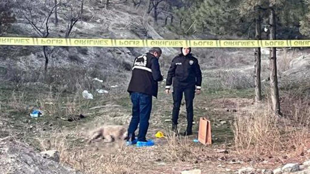 Hayvana şiddet durmuyor: Ankara'da dört köpek ateşli silahla öldürüldü