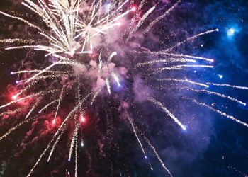 Hollanda'da yılbaşı gecesi havai fişek nedeniyle çıkan yangında 6 bin ördek telef oldu