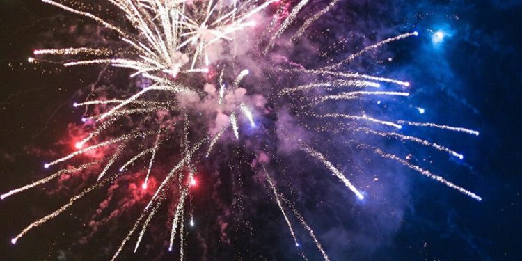 Hollanda'da yılbaşı gecesi havai fişek nedeniyle çıkan yangında 6 bin ördek telef oldu