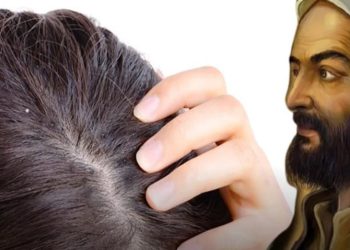 İbn-i Sina önermişti;  Saçlardaki dökülmeyi önlüyor ve kepekleri yok ediyor