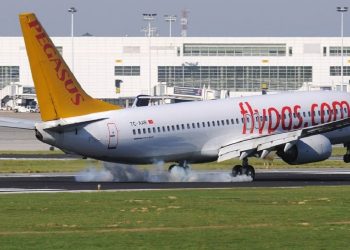 İstanbul'da tavşana uçak çarptı