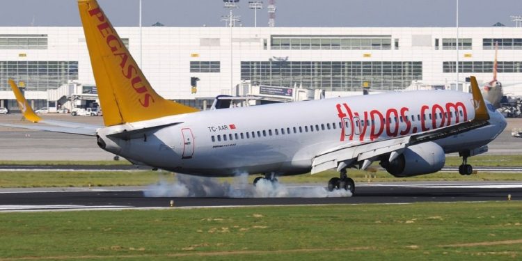 İstanbul'da tavşana uçak çarptı