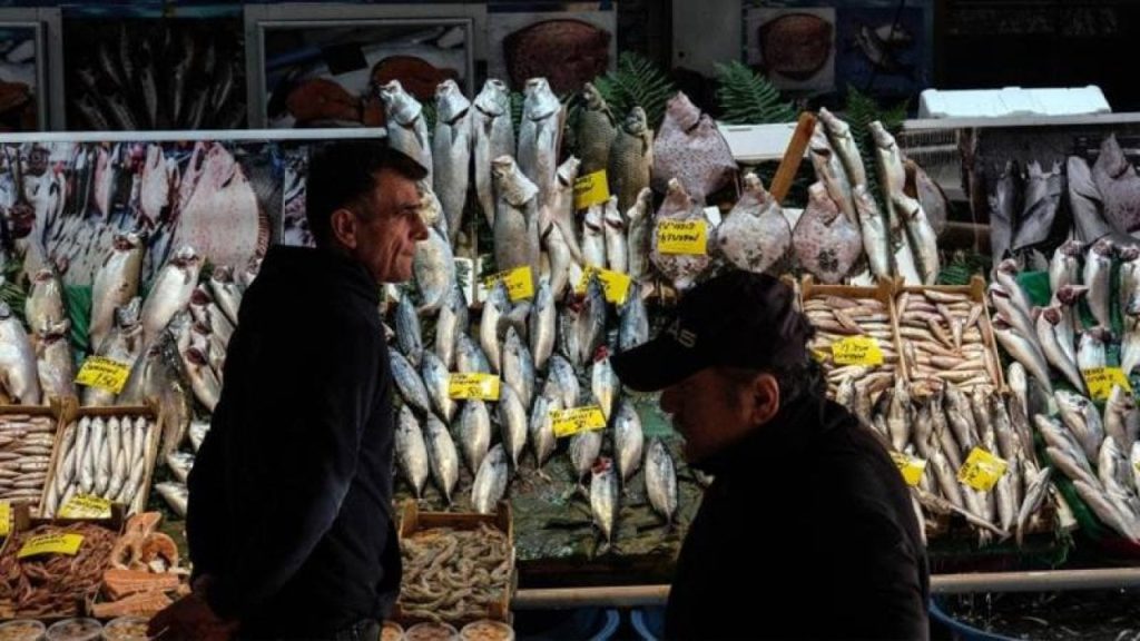 İstanbulluların en çok tükettiği deniz ürünleri: Hamsinin tahtına palamut oturdu