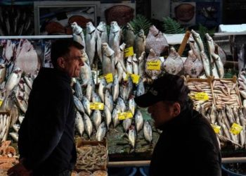 İstanbulluların en çok tükettiği deniz ürünleri: Hamsinin tahtına palamut oturdu