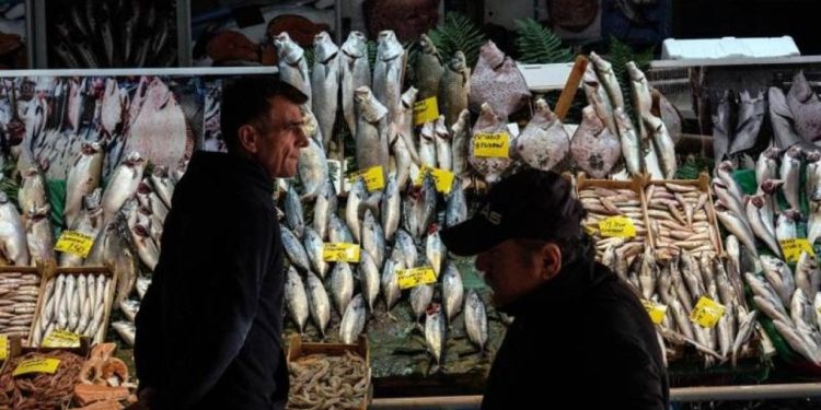 İstanbulluların en çok tükettiği deniz ürünleri: Hamsinin tahtına palamut oturdu