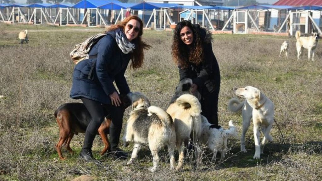 İzmir'de iki kadın sokak hayvanları için 'Merhamet Bahçesi' kurdu