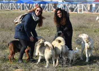 İzmir'de iki kadın sokak hayvanları için 'Merhamet Bahçesi' kurdu