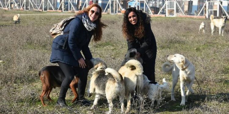 İzmir'de iki kadın sokak hayvanları için 'Merhamet Bahçesi' kurdu